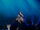 Musical 2017 Concert Hayato Kakizawa (Light).jpg