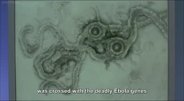 Vlcsnap-2017-03-04-18h20m50s742