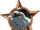 Badge-category-1.png