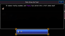Puppies grow up-0.png