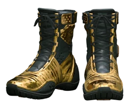 Chiral Boots DS2