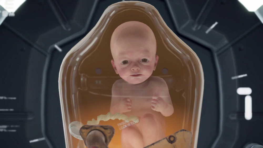 BB
