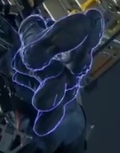 Pairs of boots attached to the boot clip