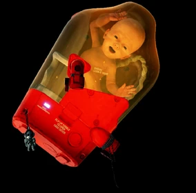 デスストランディング　bb ポッド　希少 デスストランディング DEATH STRANDING BBポッド DEATH STRANDING 1/1