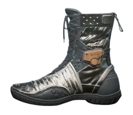 Omnireflector Boots DS2