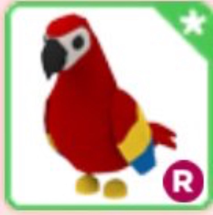 Parrot Adopt Me Wiki