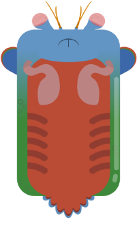 mantis deeeep deeeepio gamepedia