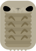 Giant Isopod.png
