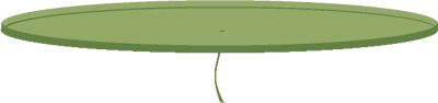 Lily Pad