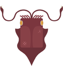 Colossal Squid