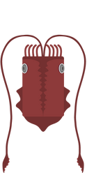 Giant Squid.png