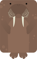 Walrus