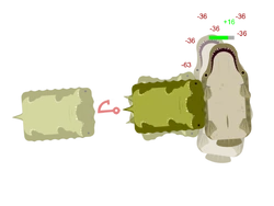 Crocodile Grab