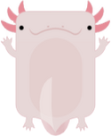 Axolotl