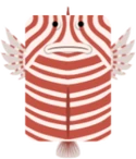 Lionfish