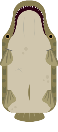 evolution tree deeeep io wiki