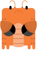 Hermit Crab