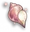 Shell-gameItem