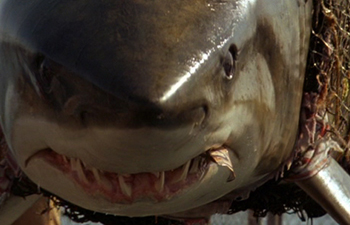 deep blue sea shark movie