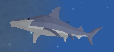 Hammerhead Shark | Deep Ocean Roblox Wiki | Fandom