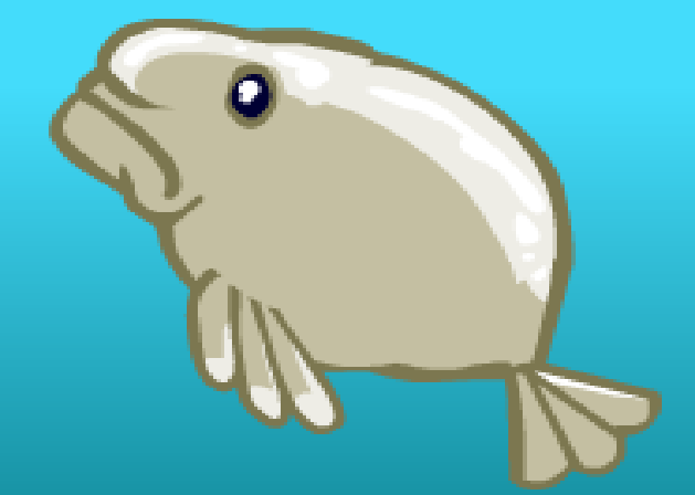 Sad Faced Blob-fish a deep sea survivor? #blobfish #fish #shorts 