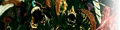 Icon MinersManual Creatures.png