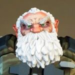 Venerable Elder Hair.jpg