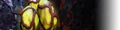 Icon MinersManual EggHunt.png