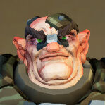 Field Repairs Nosebrace & Skullplate.jpg