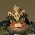 Dawn Of The Dread - Skull Cap.jpg