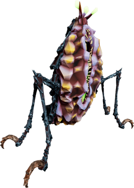 Q'ronar Shellback
