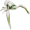 Glyphid Swarmer Radioactive.png