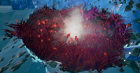 BF Oasis.png