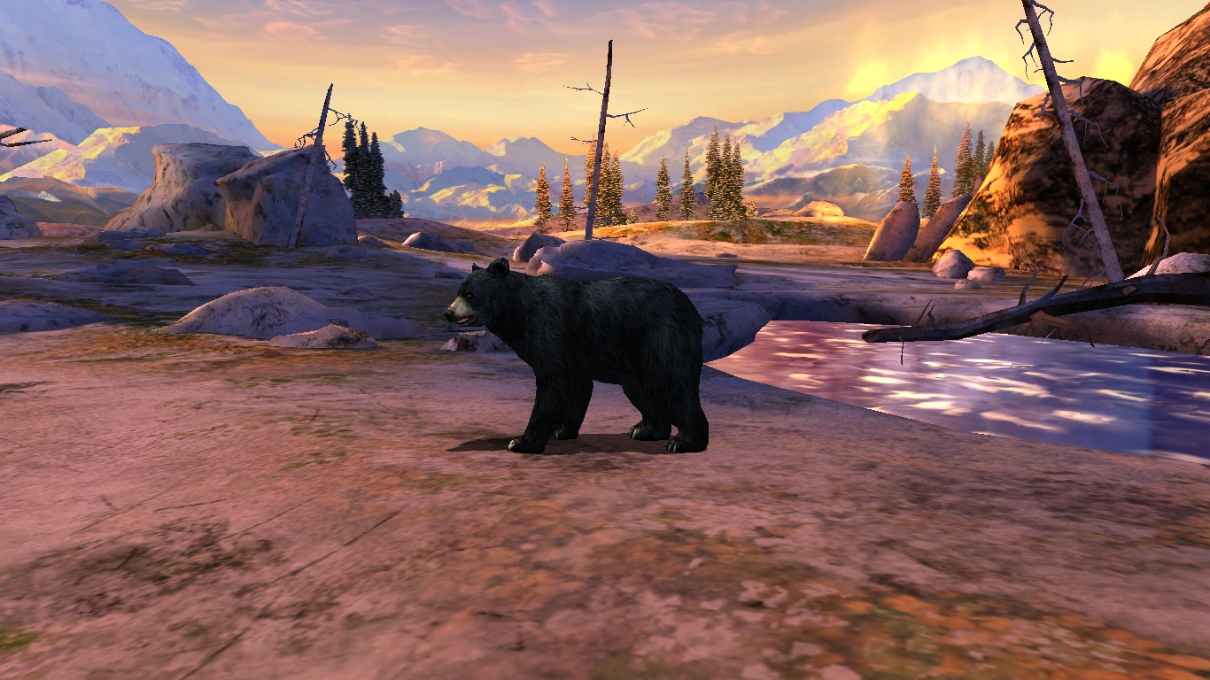 Oso grolar | Deer Hunter Wikia | Fandom, image size:1366x768