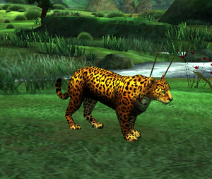 Leopardo