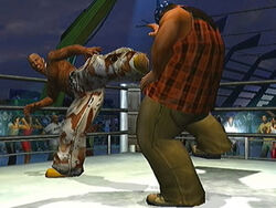 Dog in the Fight: DMX and Def Jam Vendetta