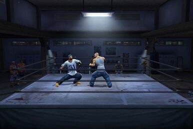 Def Jam: Fight for NY (video game, pro wrestling, combat sports