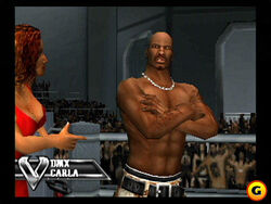 Dog in the Fight: DMX and Def Jam Vendetta