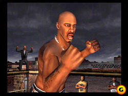 Dog in the Fight: DMX and Def Jam Vendetta