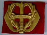 Regiment Stoottroepen Prins Bernhard