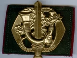 Regiment Limburgse Jagers