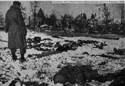 Malmedy Massacre