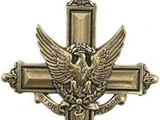 Distinguished Service Cross