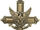 Distinguished Service Cross