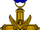 Distinguished Service Cross (Verenigde Staten)