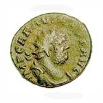 124 Carausius