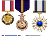 Distinguished Service Medal