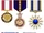 Distinguished Service Medal