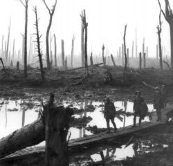 250px-Chateau Wood Ypres 1917.jpg