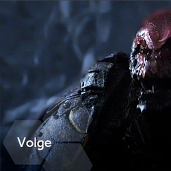 Volge